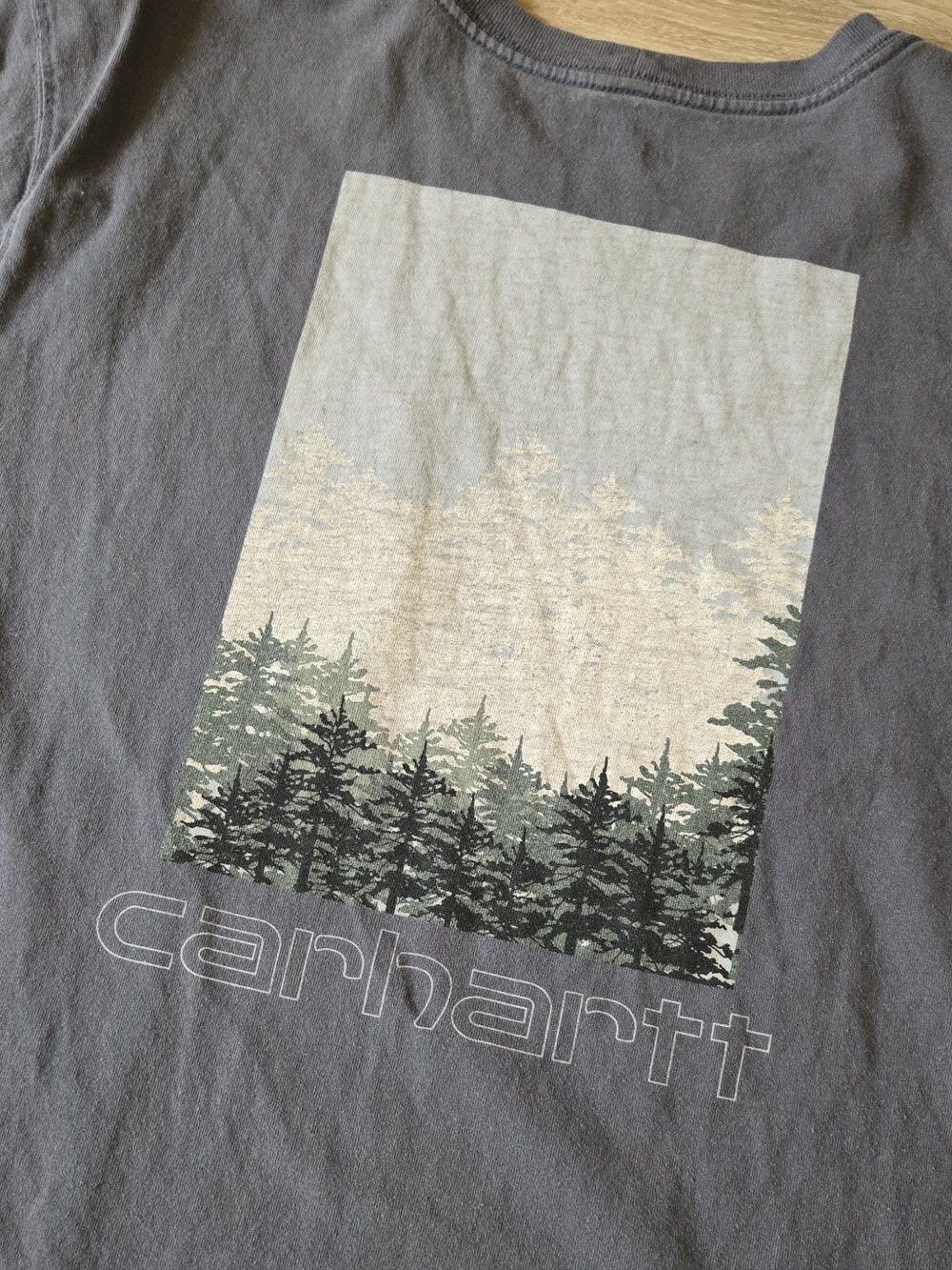 Carhartt Forest Graphic Tee - Gray with Green Trees